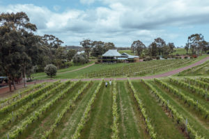 Vasse Felix
